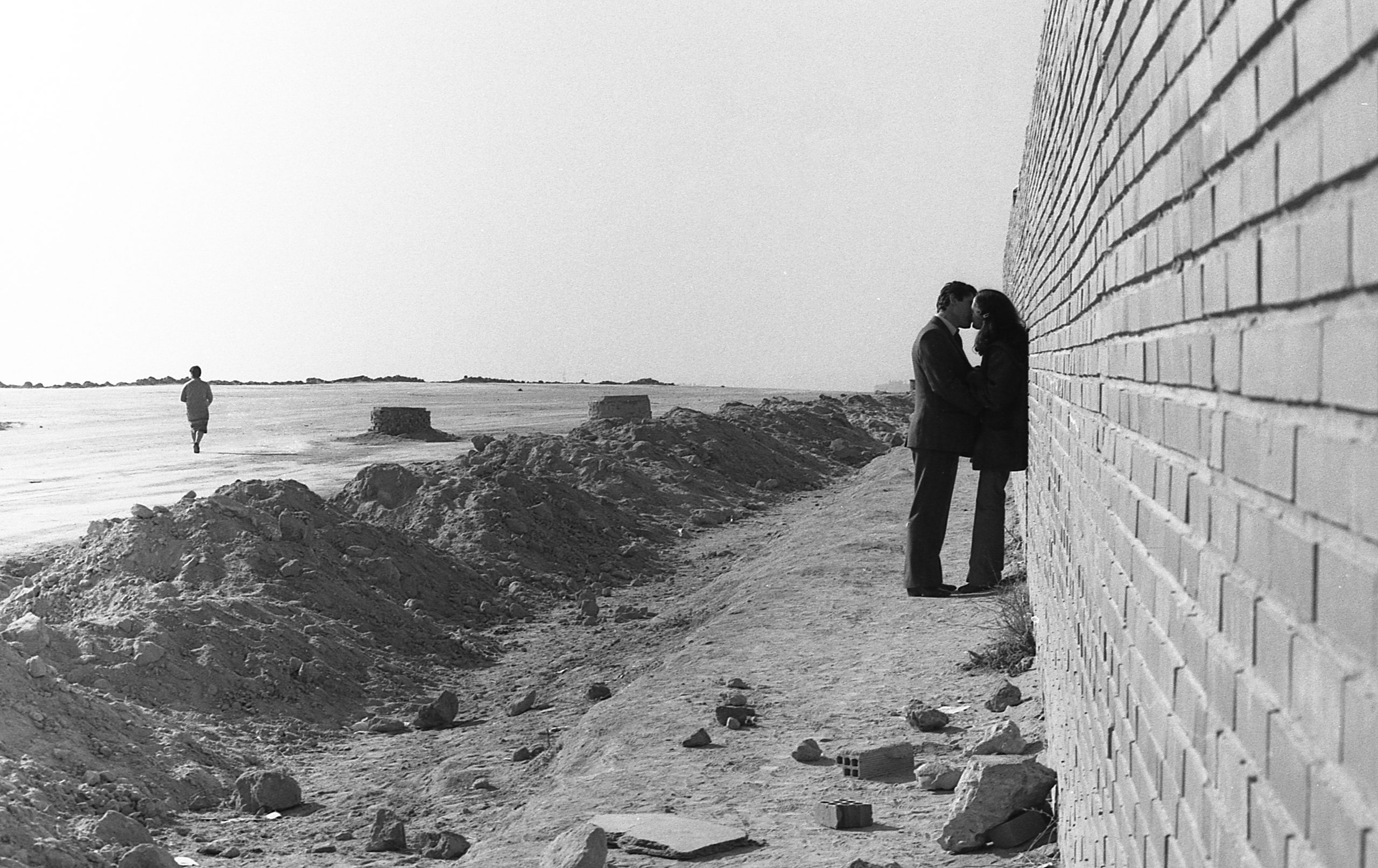 Amor junto al muro (Andrés Palomino, 1981)